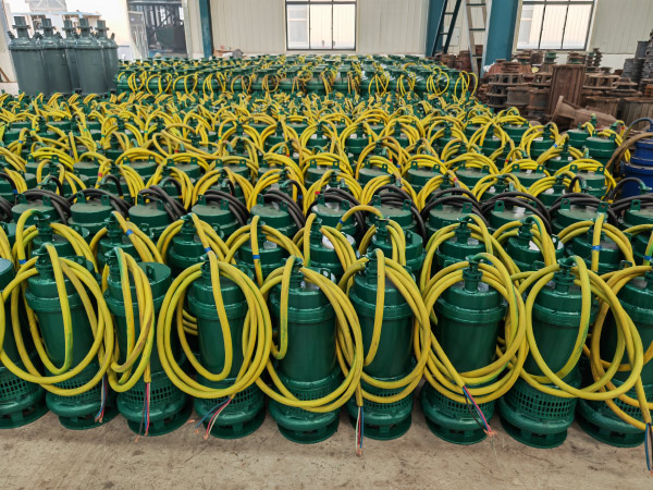 国产潜水排污电泵